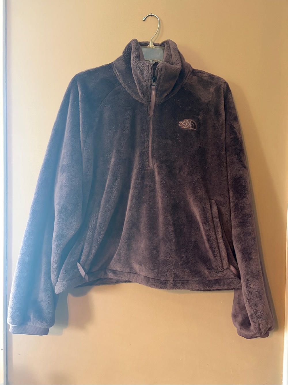 The North Face Women’s Plush 1/4-Zip Teddy Jacket - Brown
